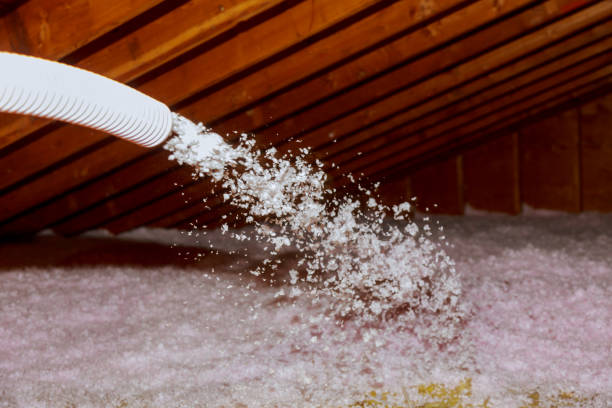 Best Affordable Insulation Services  in Manitowoc, WI