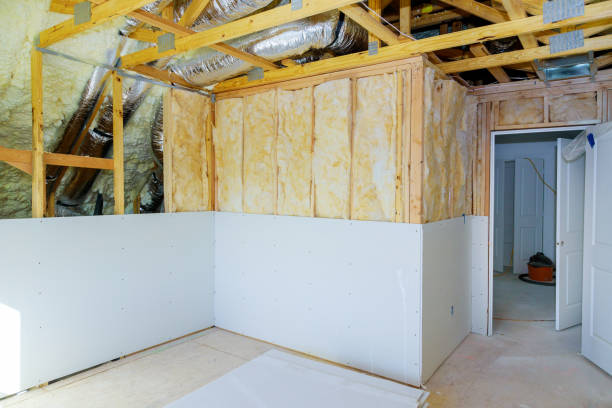 Best Energy-efficient Insulation  in Manitowoc, WI