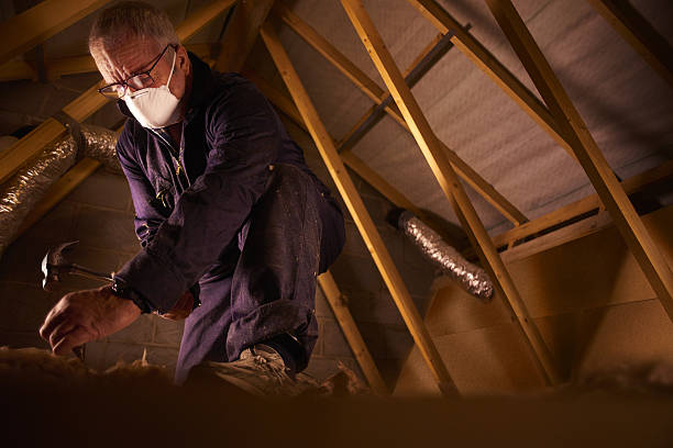 Best Cellulose Insulation  in Manitowoc, WI