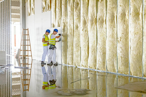 Best Spray Foam Insulation  in Manitowoc, WI
